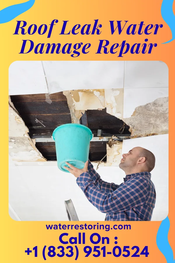 Roof Leak Water Damage Repair in Lewiston, UT